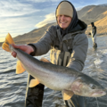 Lahontan Cutthroat — 
